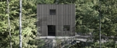 Tree box
